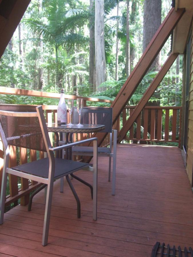 Springbrook Mountain Chalets Exterior foto