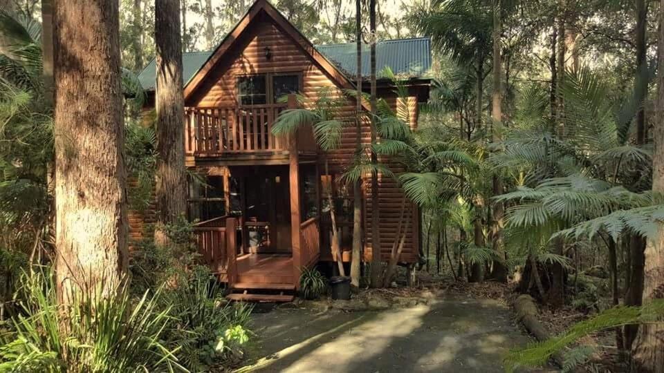 Springbrook Mountain Chalets Exterior foto