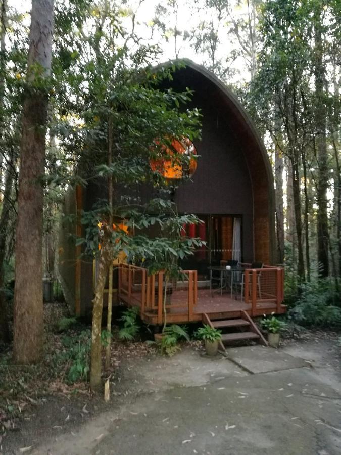 Springbrook Mountain Chalets Exterior foto