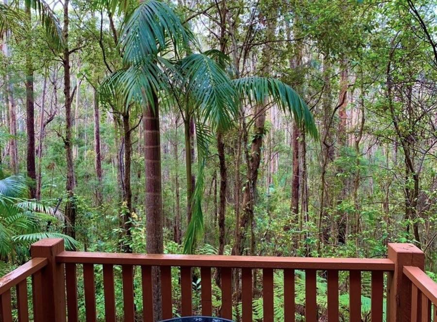 Springbrook Mountain Chalets Exterior foto