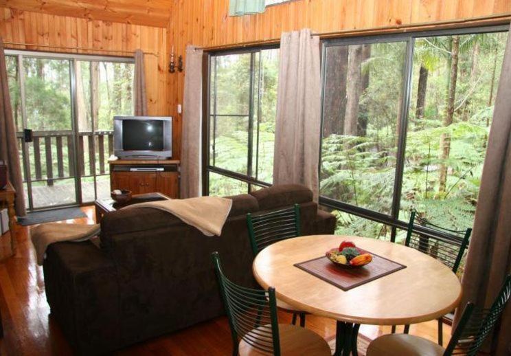 Springbrook Mountain Chalets Zimmer foto