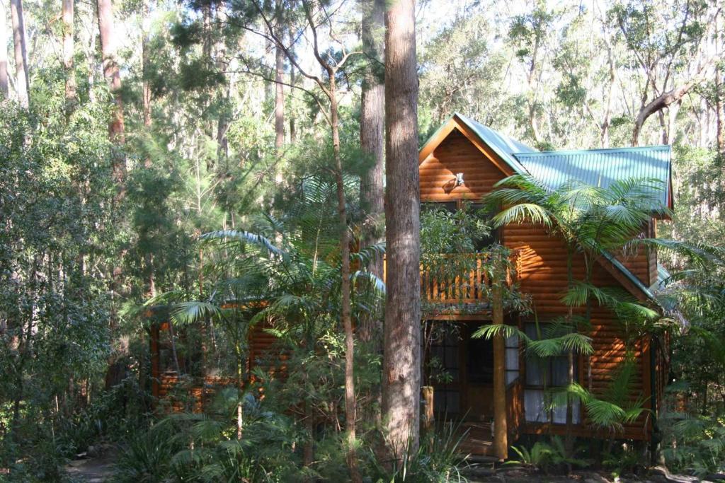 Springbrook Mountain Chalets Zimmer foto