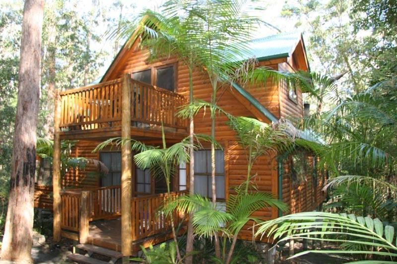 Springbrook Mountain Chalets Zimmer foto
