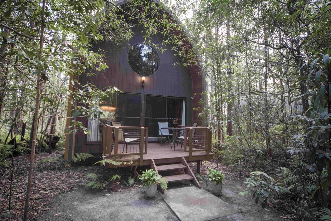 Springbrook Mountain Chalets Zimmer foto