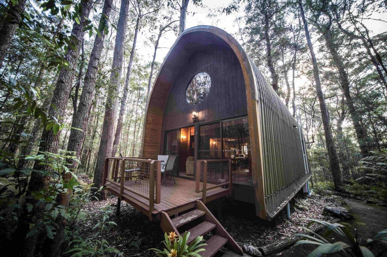 Springbrook Mountain Chalets Exterior foto